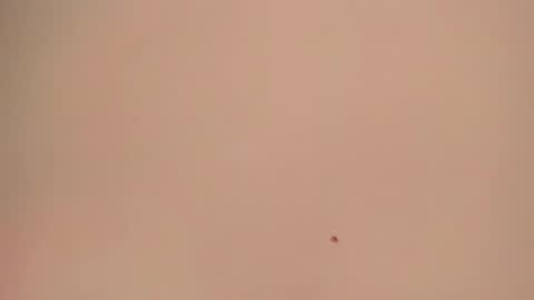 Snapshot of melanie__evans chatting on 05-05-26, 10:56 melanie__evans online show from 05-05-26, 10:56