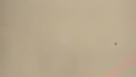 Snapshot of melanie__evans chatting on 05-12-26, 10:56 melanie__evans online show from 05-12-26, 10:56
