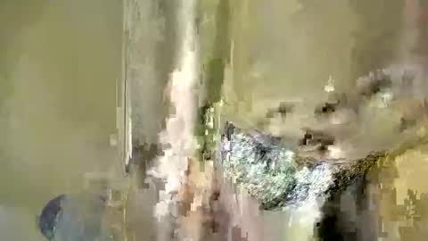 Baby online show from 12-04-25, 06:38