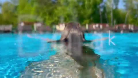 Adel online show from 04-20-26, 06:53