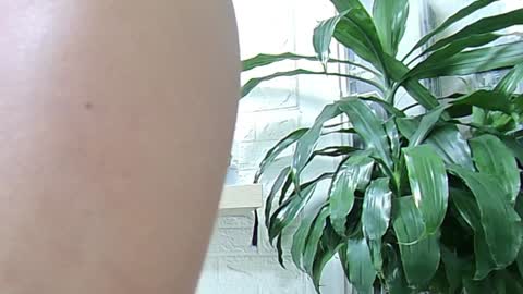 Melissa online show from 01-23-25, 11:37