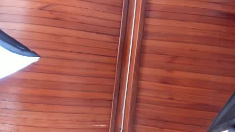 Melissa  Everyday From 1430 to 2130 Col Time online show from 12-13-25, 07:40