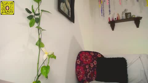 Snapshot of meliss1 chatting on 02-11-25, 12:17 melissa online show from 02-11-25, 12:17