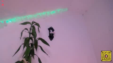 Snapshot of meliss1 chatting on 09-20-25, 01:56 melissa online show from 09-20-25, 01:56