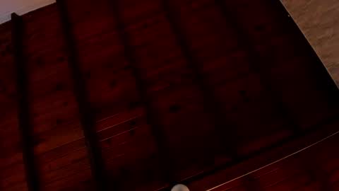 Snapshot of meloddy_rose chatting on 05-16-26, 10:36 Melody online show from 05-16-26, 10:36