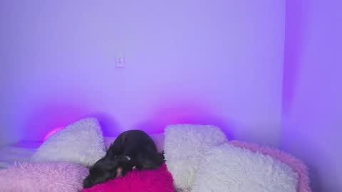    online show from 02-15-25, 04:36