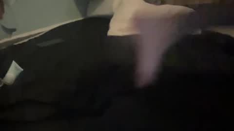 Snapshot of melt13 chatting on 10-13-25, 12:05 melt13 online show from 10-13-25, 12:05