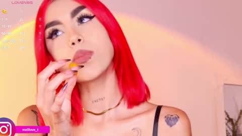 Melissa online show from 01-29-25, 03:44