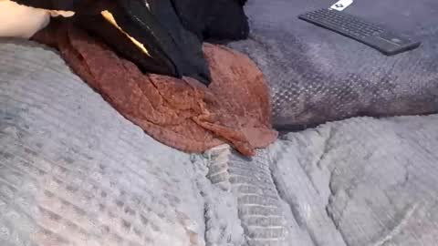 Giorggio Fragacci online show from 04-10-26, 05:12