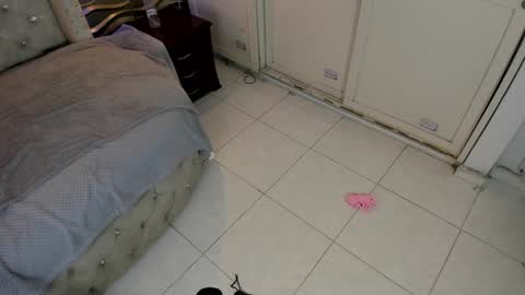 Snapshot of meraki_fraise chatting on 01-21-25, 01:08 online show from 01-21-25, 01:08