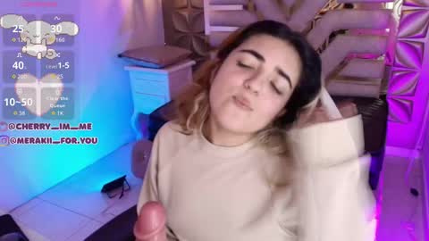 Snapshot of meraki_fraise chatting on 11-28-25, 09:17 online show from 11-28-25, 09:17