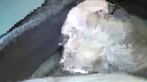 mexianthehawk online show from 09-14-25, 10:09