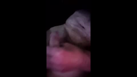 mhidupont online show from 04-10-26, 10:09