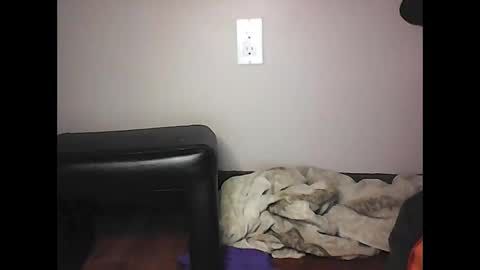 Snapshot of mi45419 chatting on 11-02-25, 07:05 mi45419 online show from 11-02-25, 07:05