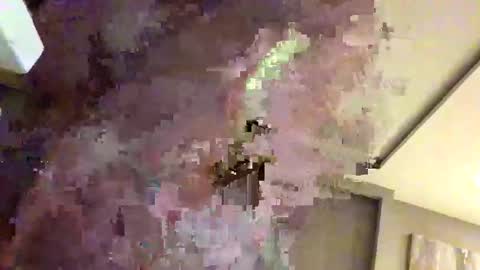 mi45419 online show from 02-22-26, 03:29