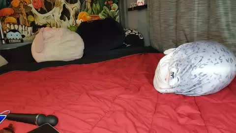 Mia Love online show from 02-08-25, 06:12