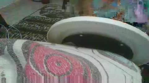 miagomezx online show from 02-17-26, 04:42