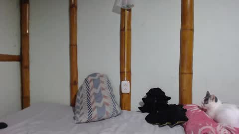 Snapshot of miahells chatting on 03-01-25, 09:04 Mia Sam online show from 03-01-25, 09:04