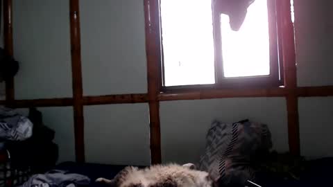 Snapshot of miahells chatting on 10-04-25, 04:05 Mia Sam online show from 10-04-25, 04:05