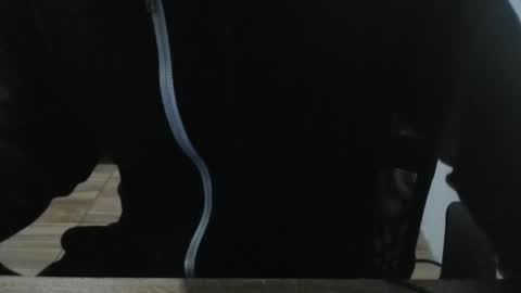 miamorr_ online show from 02-03-26, 04:43