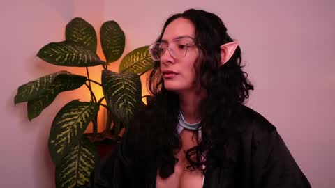 MIAPORTMANN online show from 05-24-26, 09:14