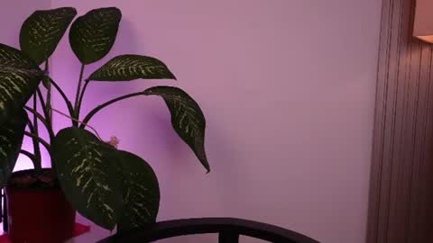 Snapshot of miaportman chatting on 06-16-26, 10:34 MIAPORTMANN online show from 06-16-26, 10:34