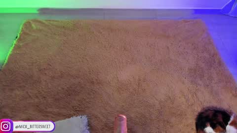 Snapshot of mich_bittersweet chatting on 01-29-25, 10:11 online show from 01-29-25, 10:11