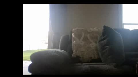 Snapshot of michaelt483 chatting on 04-23-26, 11:29 michaelt483 online show from 04-23-26, 11:29