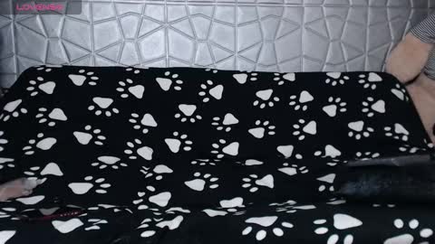 Snapshot of michele_mr chatting on 01-16-26, 01:09 michele_mr online show from 01-16-26, 01:09