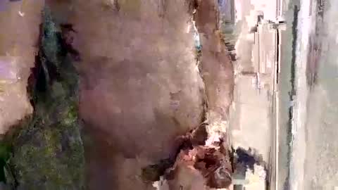 mickavis1975 online show from 04-28-26, 09:42