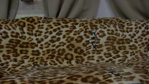 Snapshot of mickeyshyne69 chatting on 07-31-26, 10:58 Mickey online show from 07-31-26, 10:58
