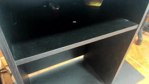 Mia online show from 02-24-25, 11:10