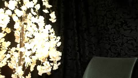 Mika online show from 12-16-24, 09:57