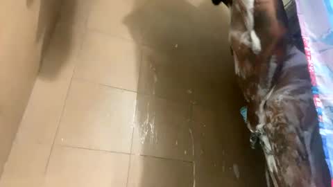 mikeyblunt online show from 02-25-25, 01:28