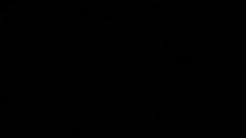 Mila online show from 11-10-25, 02:16