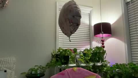 MIlf Goddess online show from 07-13-26, 02:36