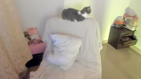 Snapshot of mimi_sa chatting on 07-02-26, 03:23 Mimii online show from 07-02-26, 03:23