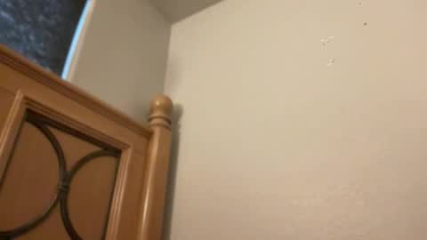 Snapshot of minnyminx chatting on 02-11-26, 02:22 Minx online show from 02-11-26, 02:22