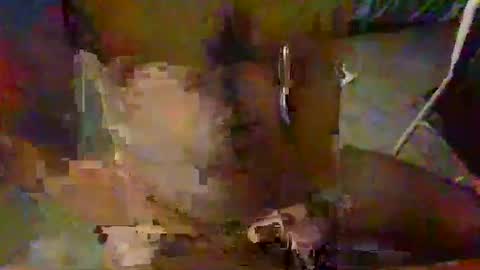 minoas31 online show from 12-09-24, 06:46