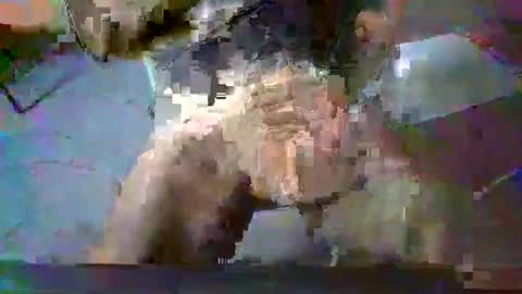 minoas31 online show from 12-13-24, 08:09