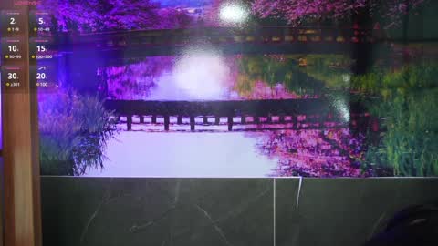 Ally online show from 01-28-25, 12:05