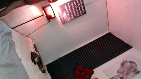 Snapshot of miss_bella69 chatting on 11-05-25, 12:10 miss_bella69 online show from 11-05-25, 12:10