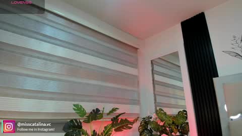 Catalina online show from 04-06-26, 11:44