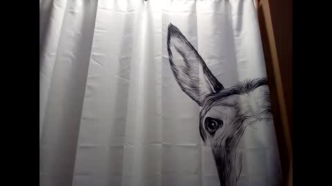 MissEeva online show from 12-19-24, 06:23