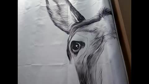 MissEeva online show from 02-17-25, 09:41