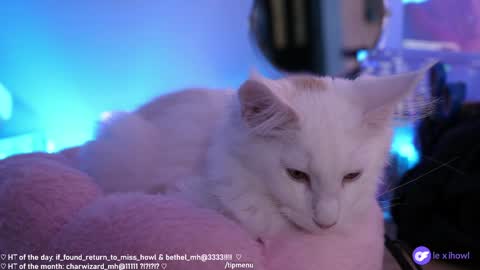 Snapshot of misshowl chatting on 01-11-25, 09:15 Lexi Bitch Tits Baked Goldfish Howl Miss Zero Remeber The First online show from 01-11-25, 09:15