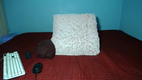 mimmi online show from 05-21-26, 07:04