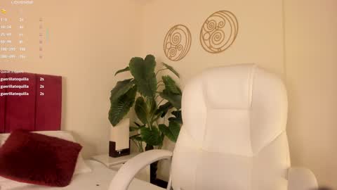 Snapshot of missvaleriaa chatting on 01-15-25, 11:43 Valeria Davila online show from 01-15-25, 11:43