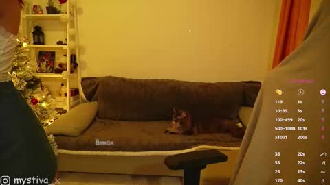 Hi everyone Im Tina online show from 12-20-25, 05:53