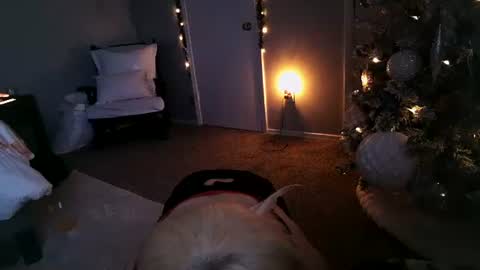 Snapshot of mmmmmwah chatting on 12-11-24, 11:30 Angel online show from 12-11-24, 11:30